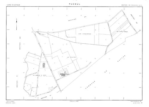 Puceul - ZH