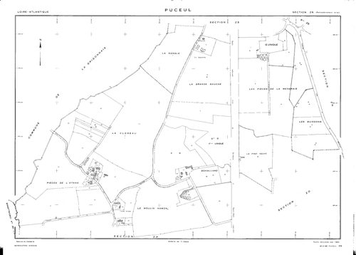 Puceul - ZR