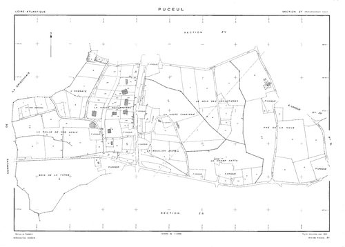 Puceul - ZT