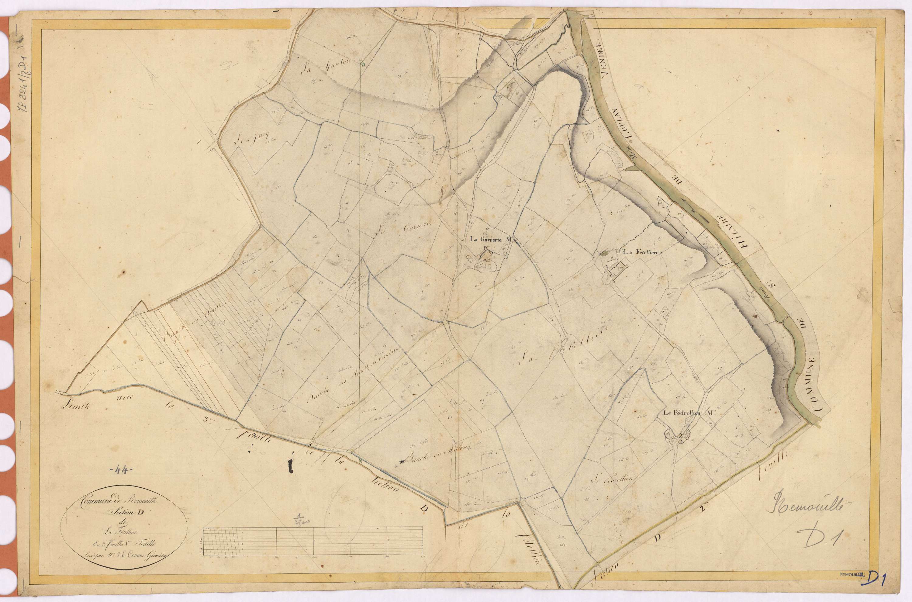 Remouillé - Section D1 Fétellière (section de La)