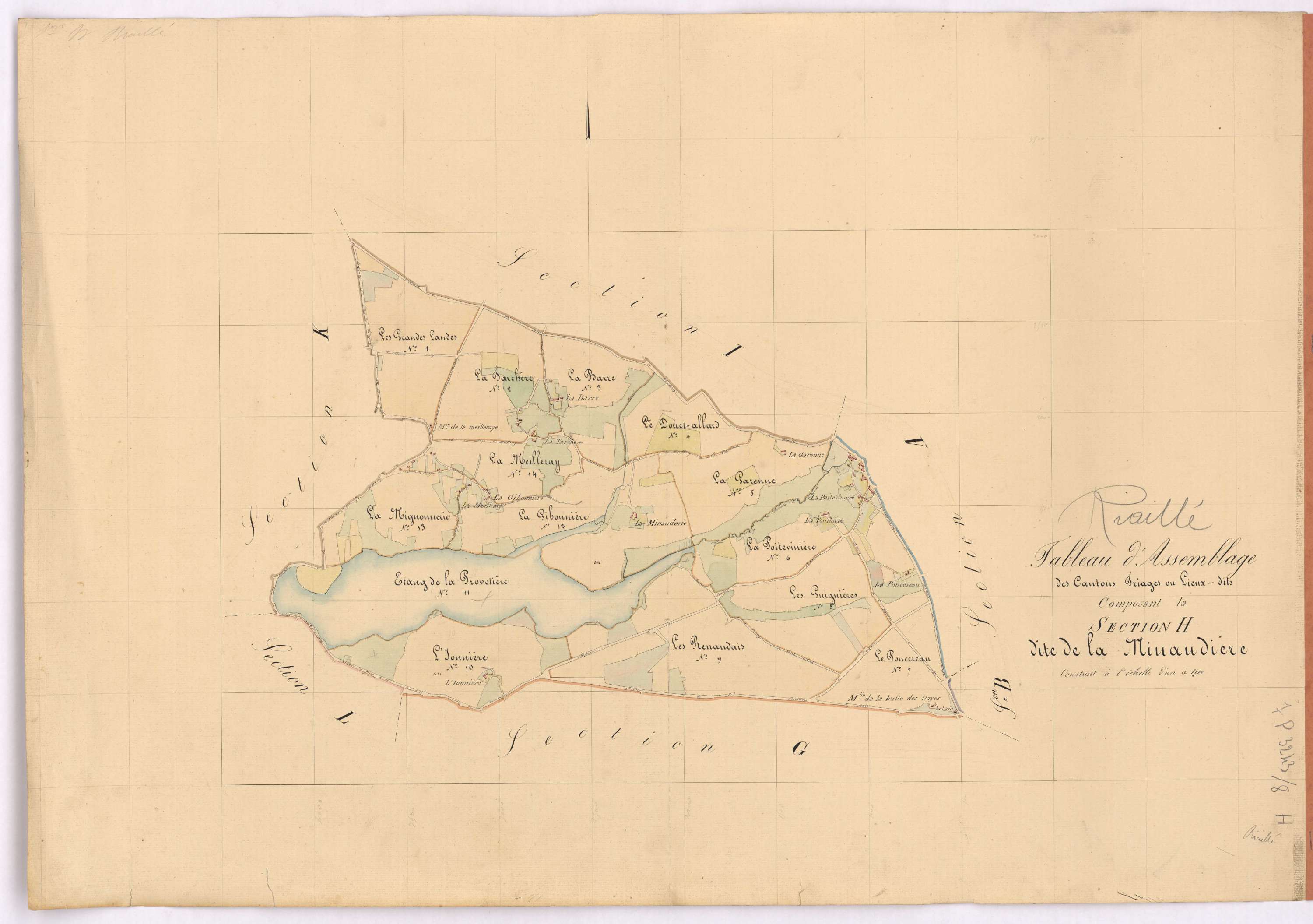 Riaillé - Section H Minaudière (section de La)