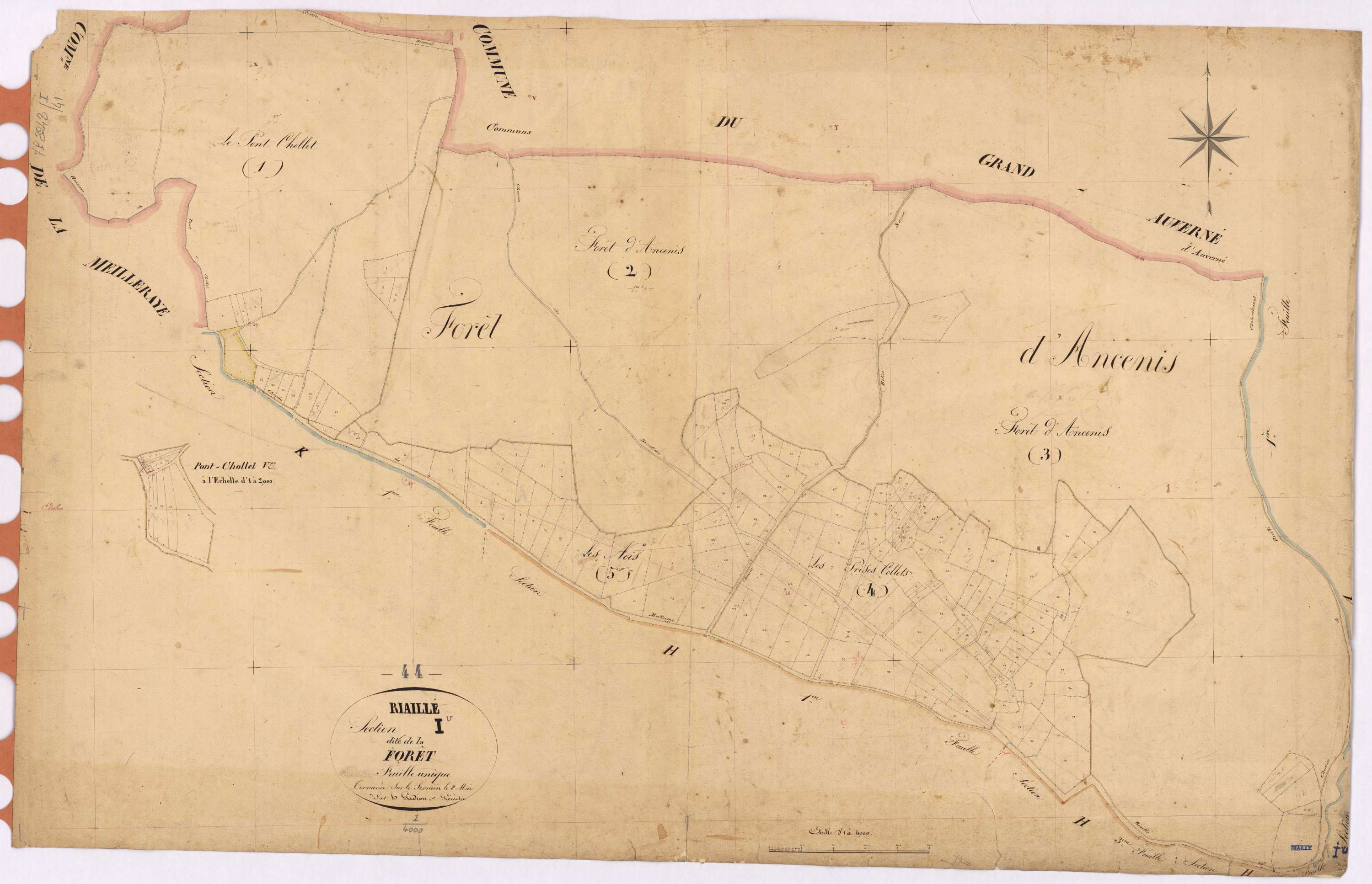 Riaillé - Section I Forêt (section de La)