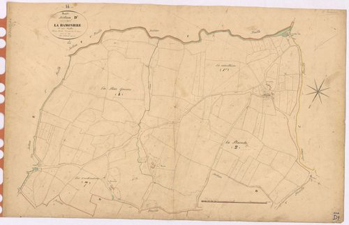 Riaillé - Section D1 Hamonière (section de La)