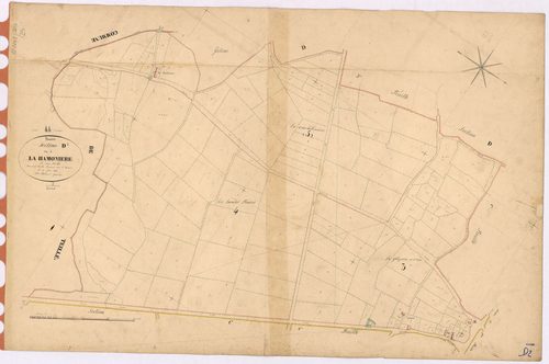 Riaillé - Section D2 Hamonière (section de La)