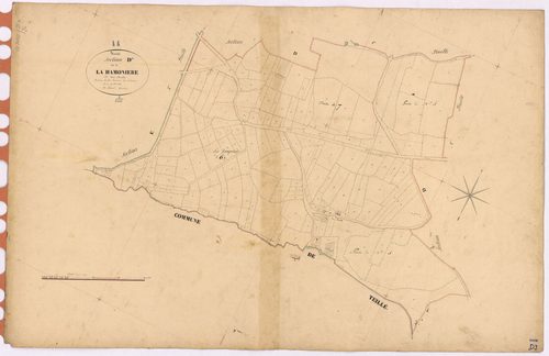 Riaillé - Section D3 Hamonière (section de La)