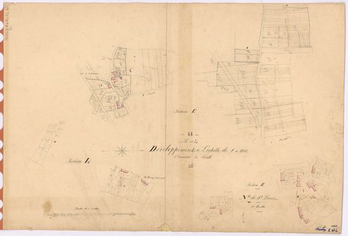 Riaillé - Section E2 E3 L2 (développement) Saint-Louis et du Bourg-Chevreuil (sections de) ; développement des polygônes A à H