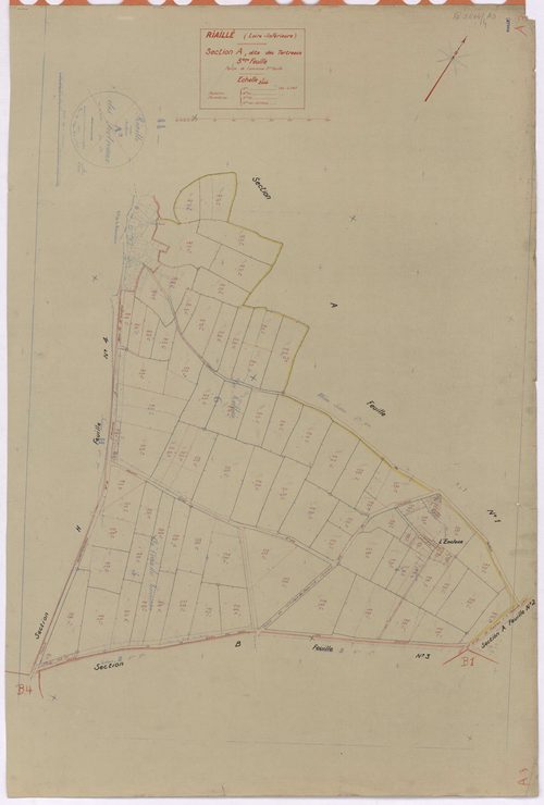 Riaillé - Section A3 Tertreaux (section des) ; 195-287