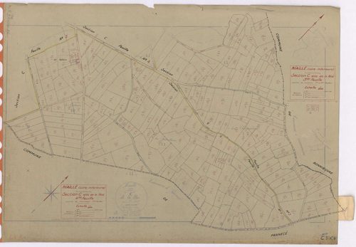Riaillé - Section C3 C4 Noë (section de La) ; 303-448 ; 449-598