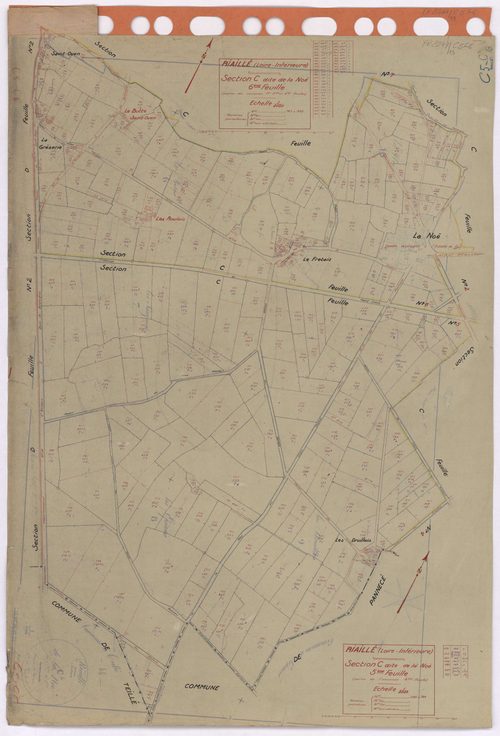 Riaillé - Section C5 C6 Noë (section de La) ; 599-744 ; 745-962