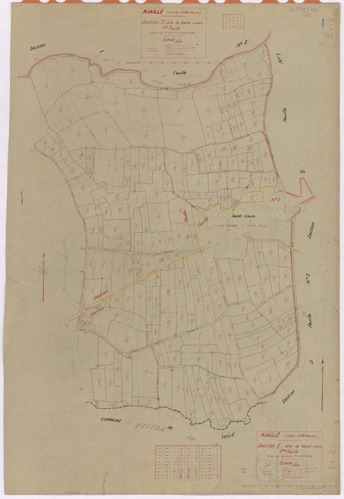 Riaillé - Section E1 E2 Saint-Louis (section de) ; 1-199 ; 200-438