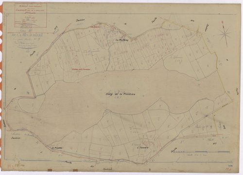 Riaillé - Section H2 Minaudière (section de La) ; 267-450