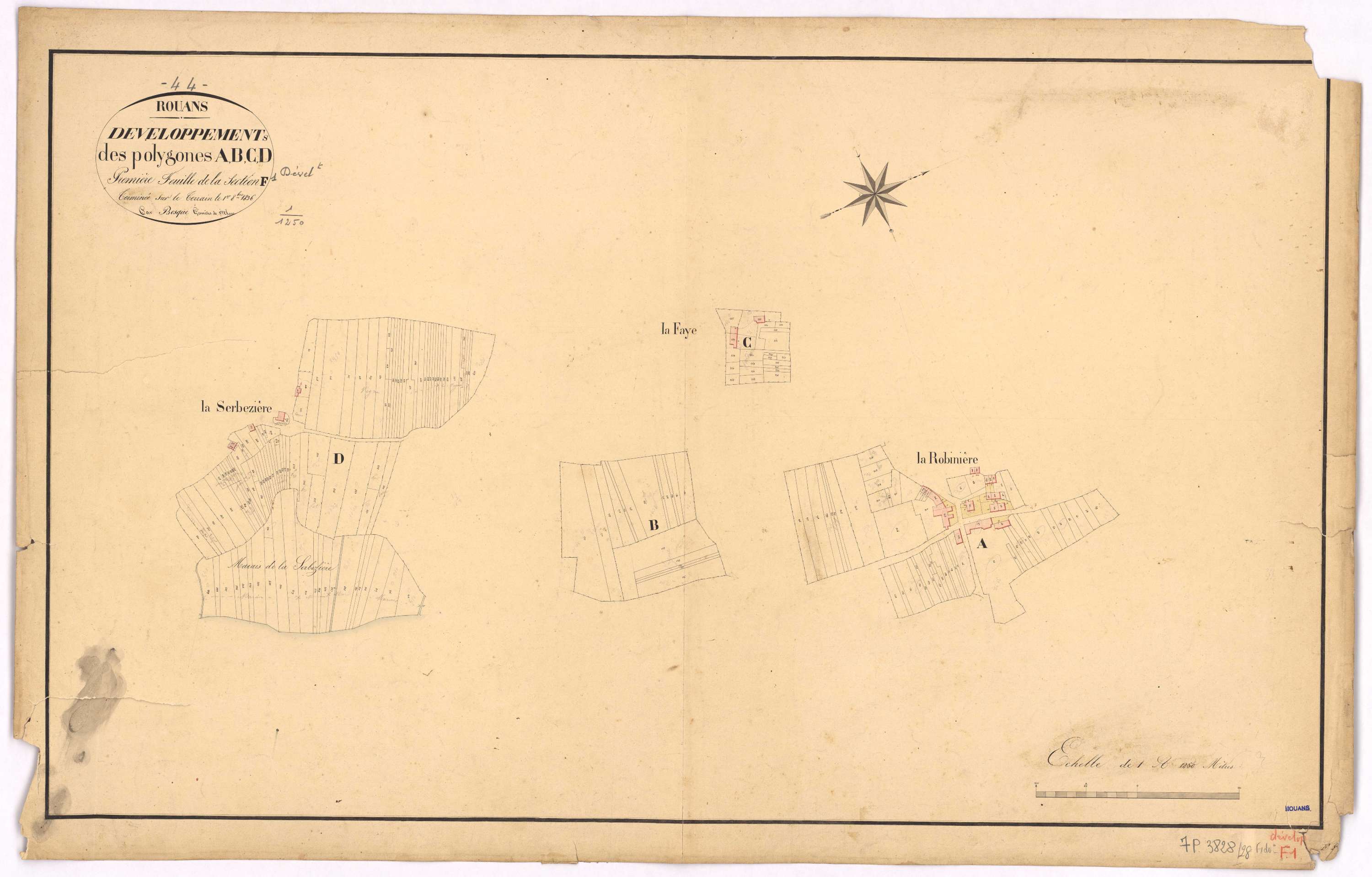 Rouans - Section F1 (développement) Robinière (section de La) ; 1-589 ; développement des polygônes A à D