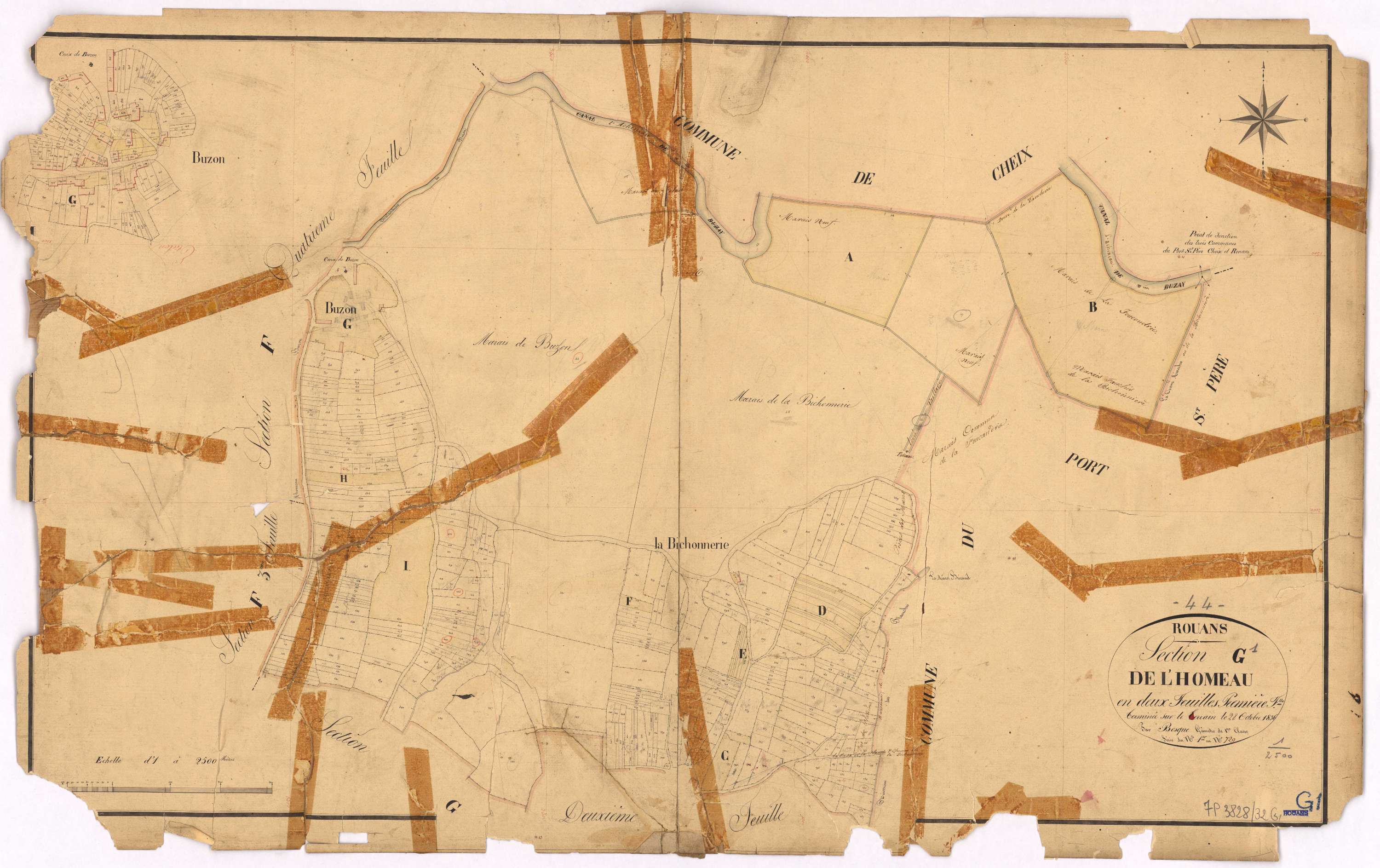Rouans - Section G1 Homeau (section de l') ; 1-729