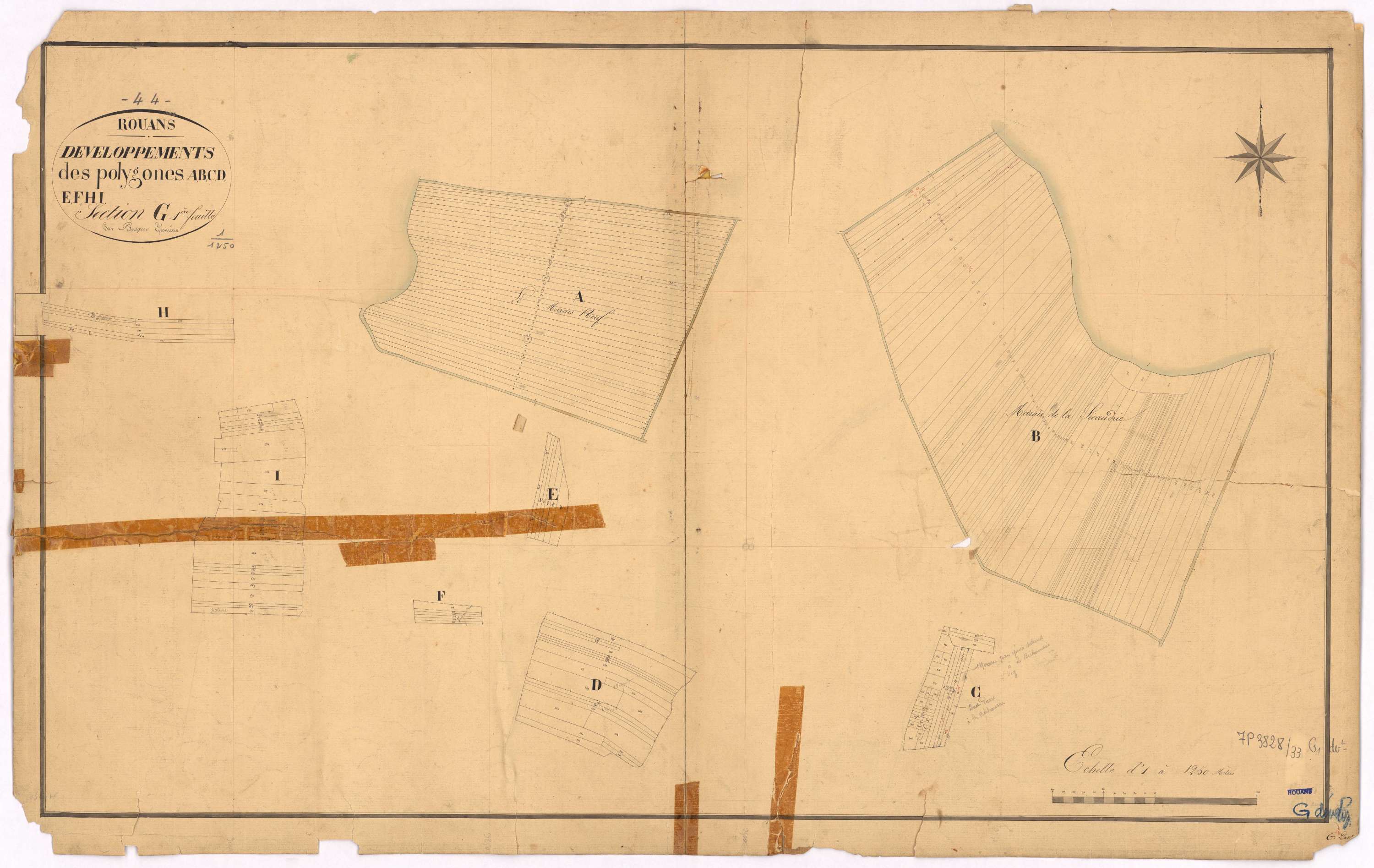 Rouans - Section G1 (développement) Homeau (section de l') ; 1-729 ; développement des polygônes A à F, H et I