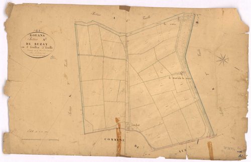 Rouans - Section A3 Buzay (section de) ; 124-195bis