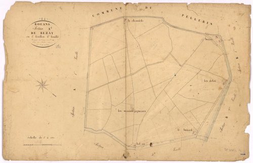 Rouans - Section A4 Buzay (section de) ; 196-261