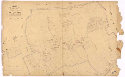 Rouans - Section B3 Aunaie (section de l') ; 297-991