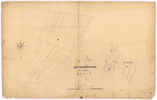 Rouans - Section C2 C3 (développement) Basse-Ville (section de La) ; 293-654 ; 655-973 ; développement du village de La Morlière et de diverses parcelles