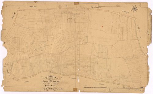 Rouans - Section D3 Bourg (section du) ; 974-1383