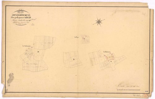 Rouans - Section F1 (développement) Robinière (section de La) ; 1-589 ; développement des polygônes A à D