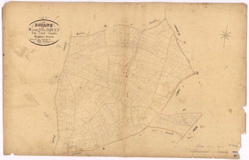 Rouans - Section H1 Douet (section du)