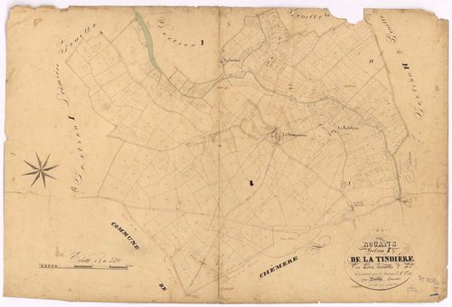 Rouans - Section I2 Tindière (section de La) ; 694-1326