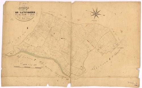 Rouans - Section I3 Tindière (section de La) ; 1327-2068
