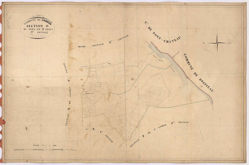 Sainte-Anne-sur-Brivet - Section O1 Sery (section du)