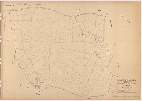 Saint-Étienne-de-Mer-Morte - Section C2 Rondelière (section de La) ; 404-593
