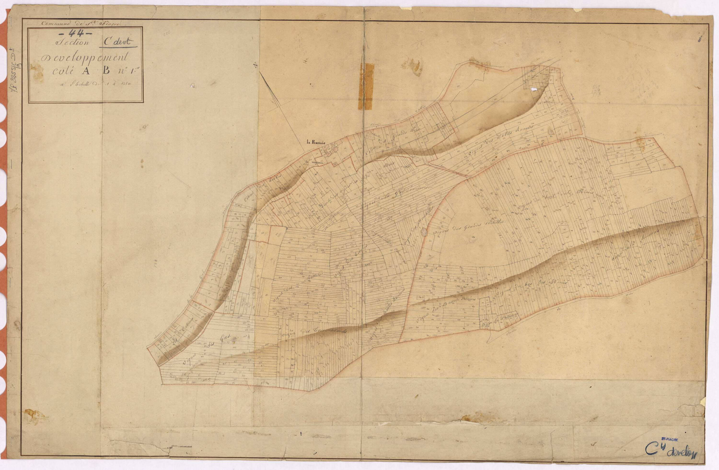 Saint-Fiacre-sur-Maine - Section C (développement) Coin (section du) ; développement du village de La Ramée et de diverses parcelles