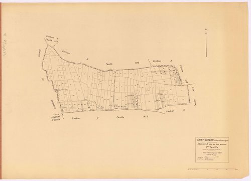 Saint-Géréon - Section D1 Bois Mouchet (section du) ; 1-210