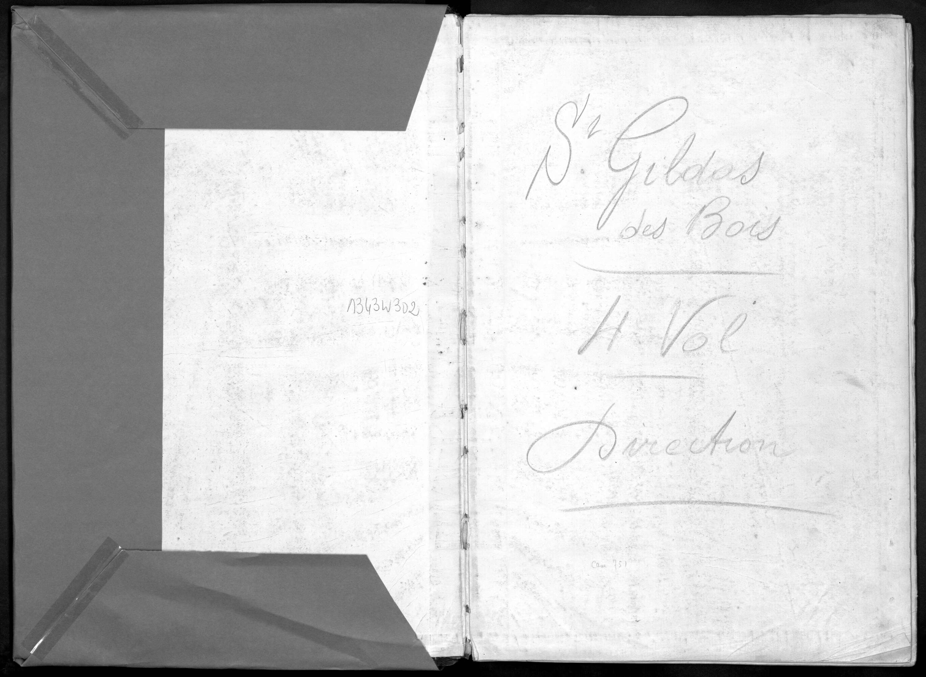 Saint-Gildas-des-Bois - 