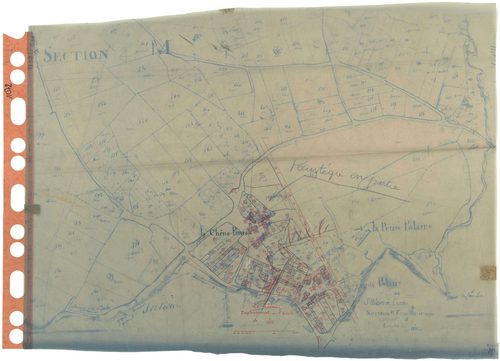 Saint-Hilaire-de-Clisson - Section M (développement) Palaire (section de La) . 1-445