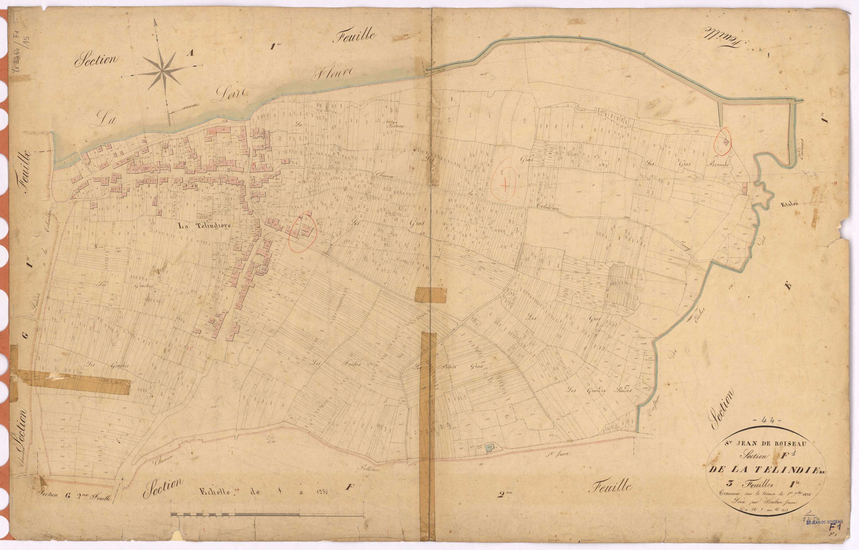 Saint-Jean-de-Boiseau - Section F1 Telindière (section de La) ; 1-1482