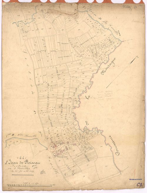 Saint-Jean-de-Boiseau - Section C1 Briandière (section de La) ; 503-1049