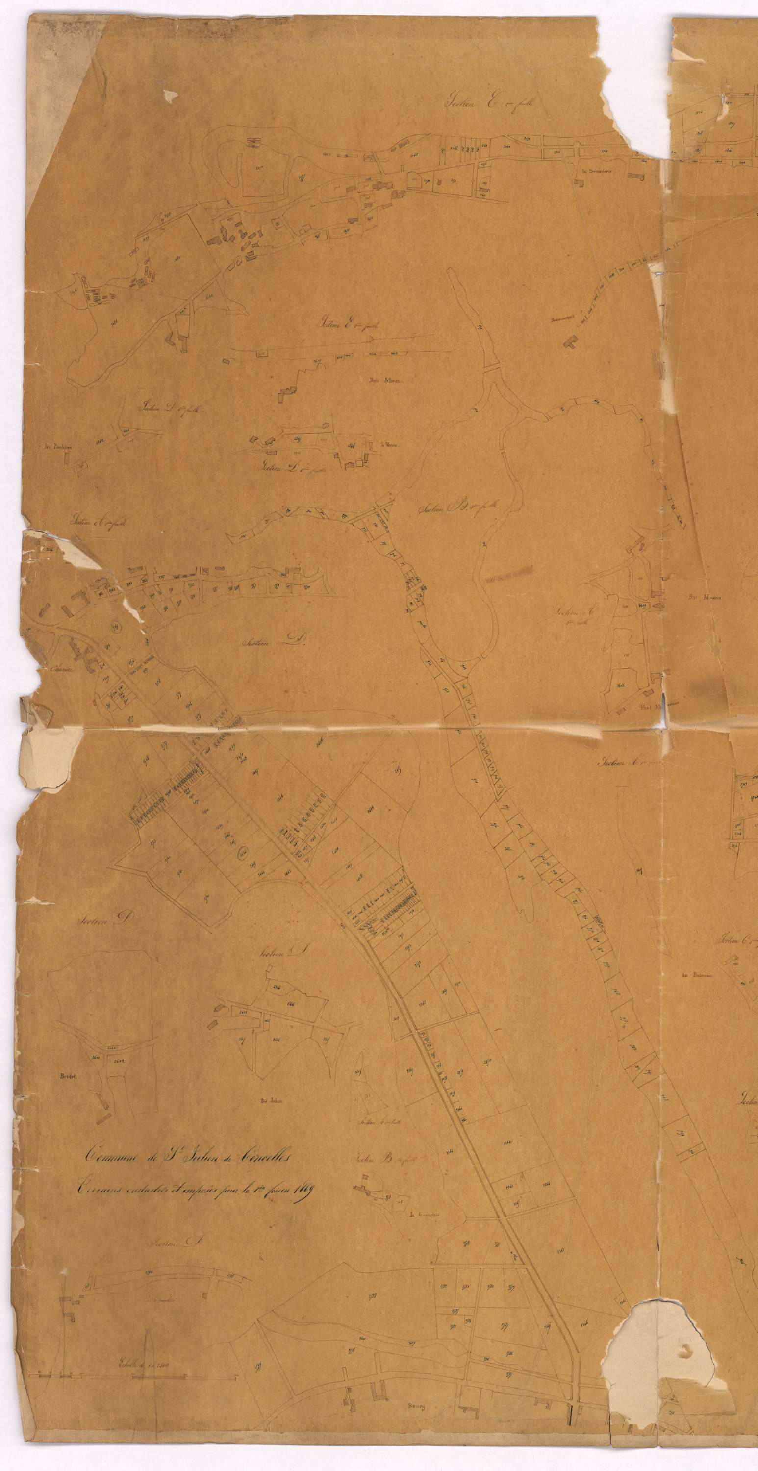 Saint-Julien-de-Concelles - Section Toutes sections Développement de terrains cadastrés et imposés pour la première fois en 1869