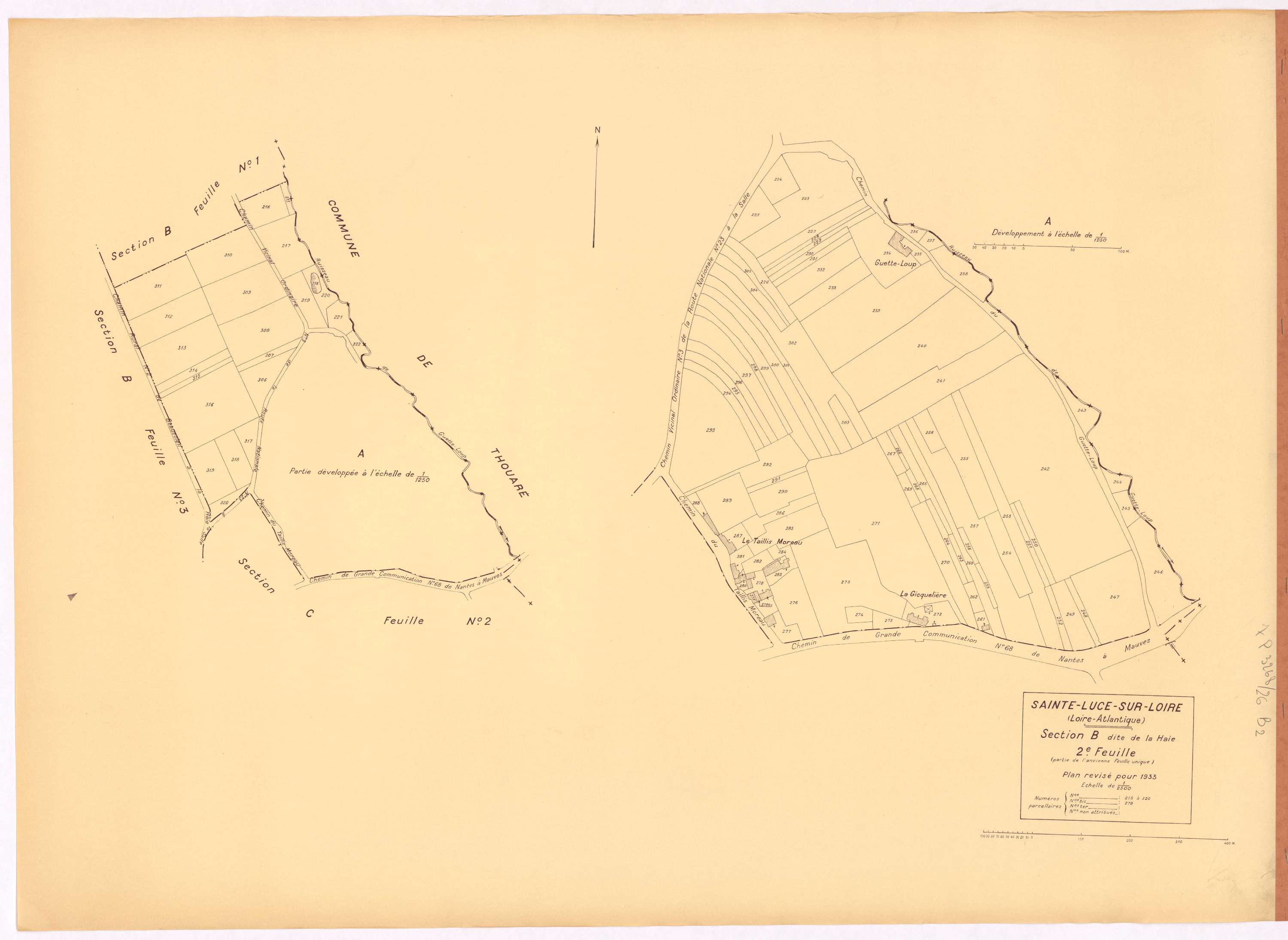 Sainte-Luce-sur-Loire - Section B2 Haie (section de La) ; 215-320