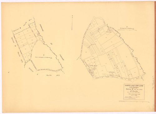 Sainte-Luce-sur-Loire - Section B2 Haie (section de La) ; 215-320