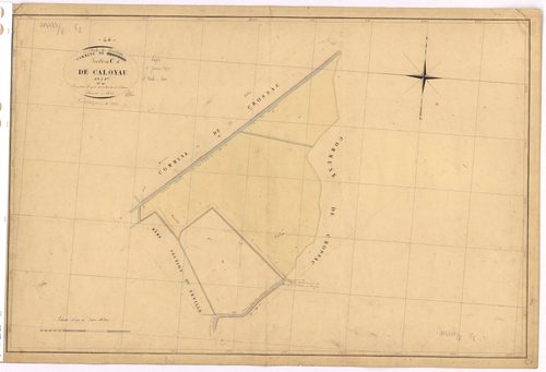 Saint-Malo-de-Guersac - Section C1 Caloyau (section de)