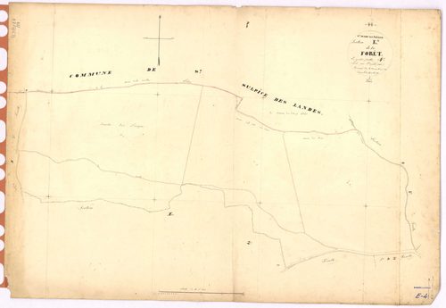 Saint-Mars-la-Jaille - Section E4 Forêt (section de La) ; 566-568