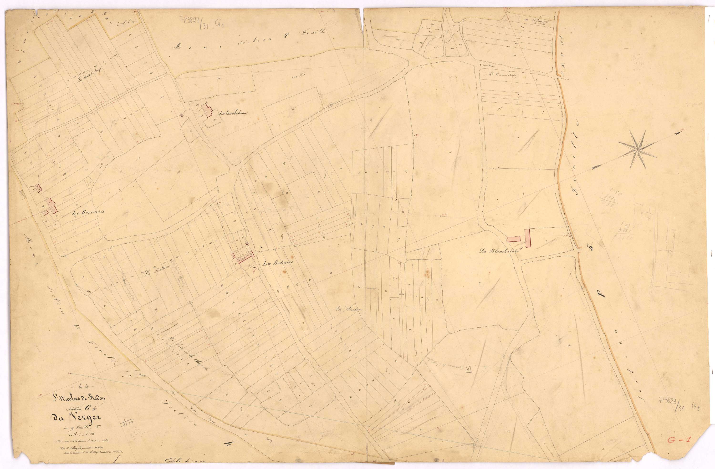 Saint-Nicolas-de-Redon - Section G1 Verger (section du) ; 1-243