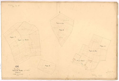 Sainte-Reine-de-Bretagne - Section D2 (développement) Guervau (section du) ; 29-772 ; développement des polygônes B à E