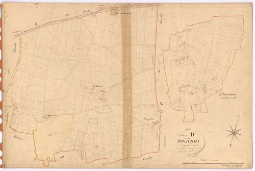 Saint-Vincent-des-Landes - Section D1 Rigaudais (section de La) ; 1-478