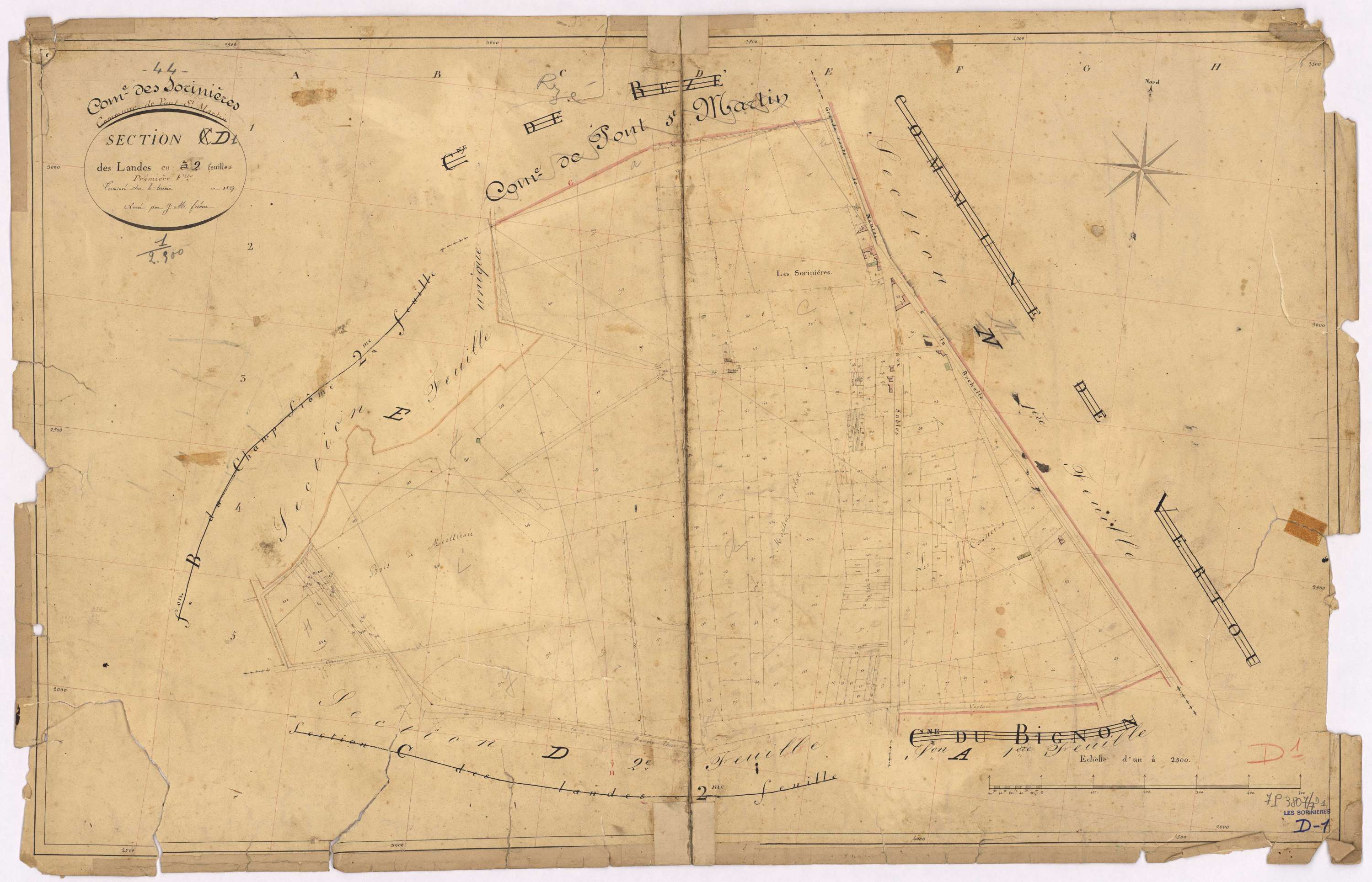 Sorinières - Section D1 Landes (section des)
