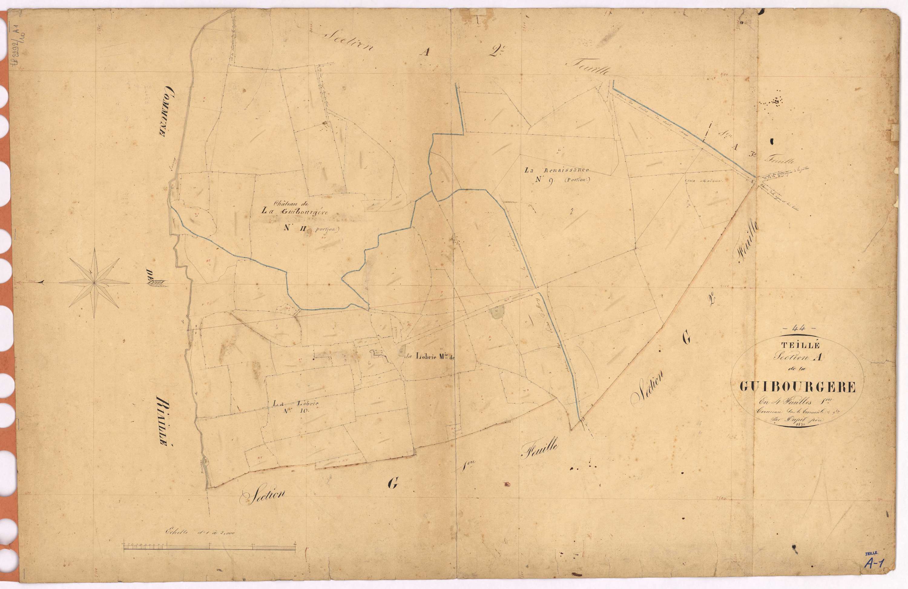 Teillé - Section A1 Guibourgère (section de La)