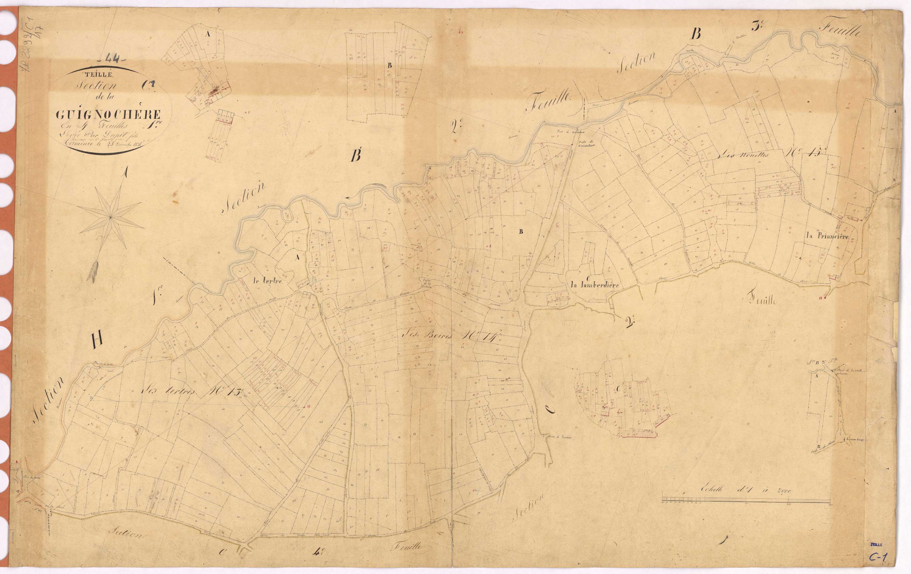 Teillé - Section C1 Guignochère (section de La)