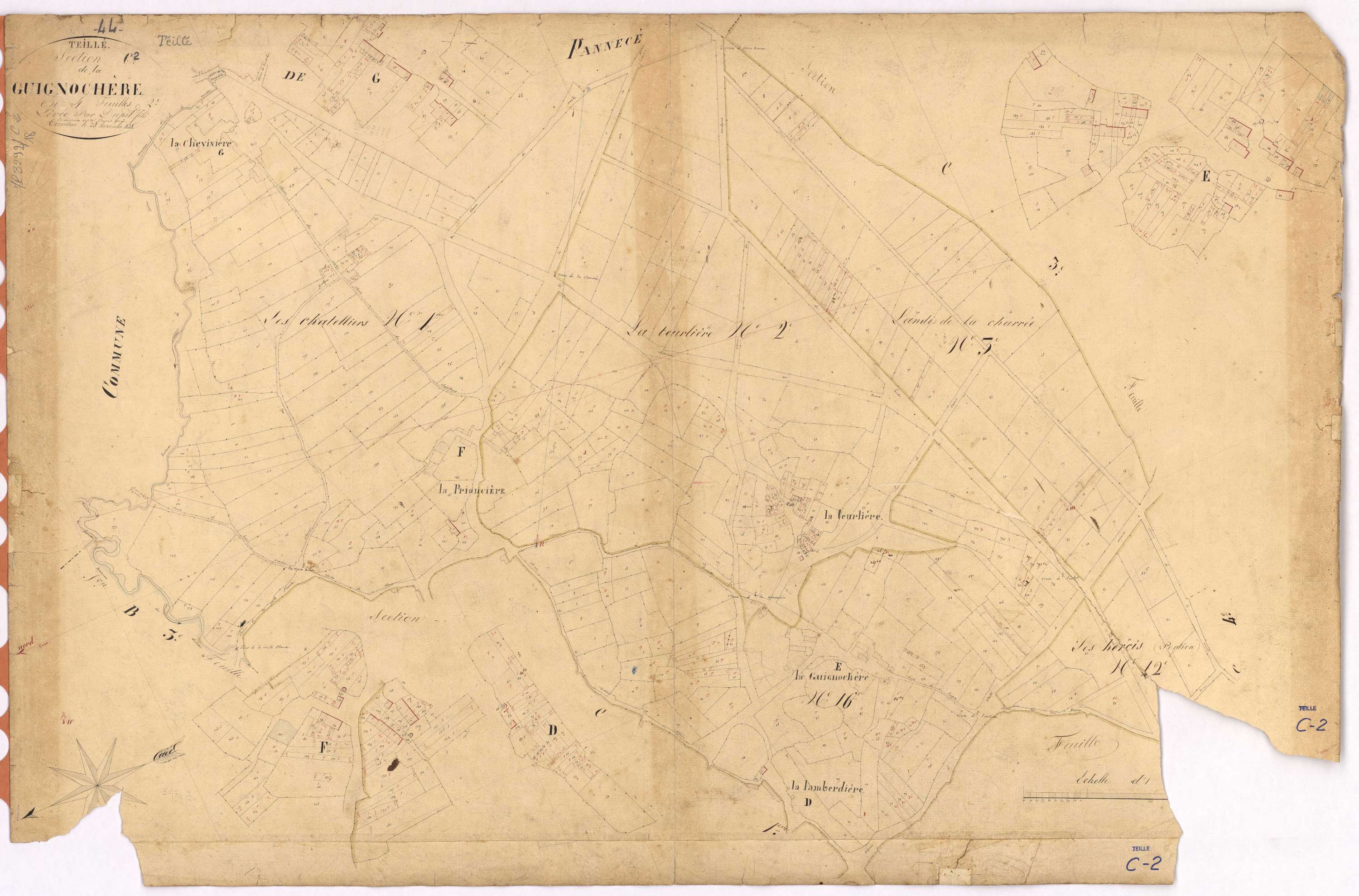 Teillé - Section C2 Guignochère (section de La)