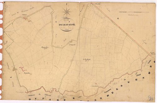 Touvois - Section E1 Epiardière (section de l')