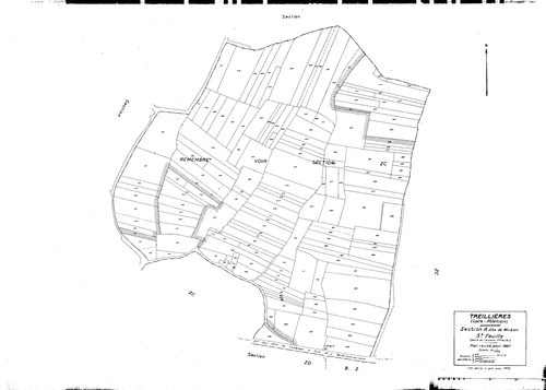 Treillières - Section A5 Muzon (section de). 617-771