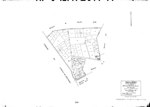 Treillières - Section A7 Muzon (section de). 939-998